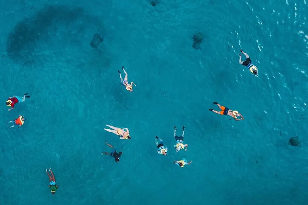 Snorkeler underwater watching a Hawaiian green sea turtle glide along a coral reef during an Oahu snorkel excursion